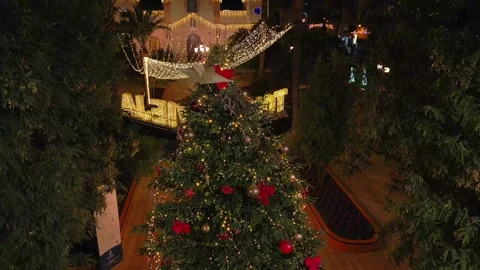 Christmas tree standing on the main square decorated and illuminated Stock Footage 230913600