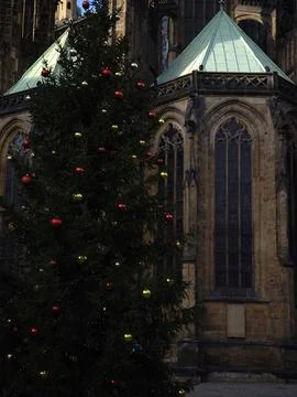 Christmas tree standing tall in front of st. Vitus cathedral in prague Stock Photos