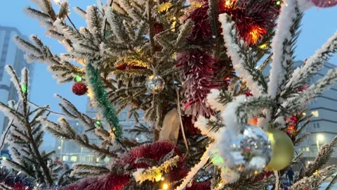 The Christmas tree stands covered in a delicate layer of frost Video stock 335726573
