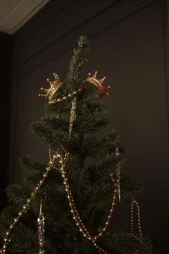 The Christmas tree stands on a red background. Stock Photos