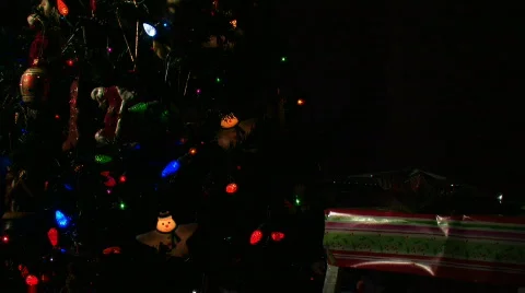 CHRISTMAS TREE STAR Stock Footage 303023