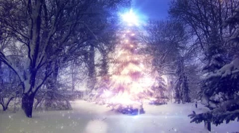 Christmas Tree With a Star on Top, Pine, Looking Like a New Year Tree In The Stock Footage 53535866