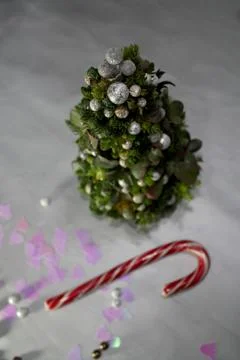 Christmas tree succulent composition Stock-Fotos