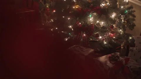 Christmas Tree Surrounded by Gifts Stock Footage 221212061