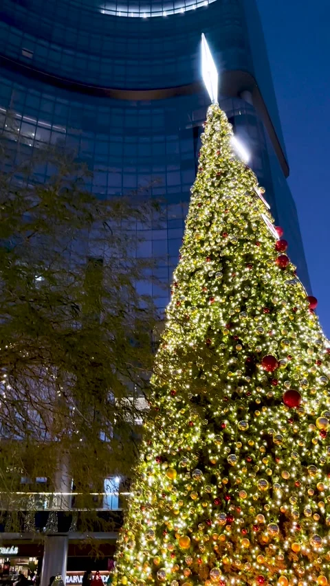 Christmas tree tall buildings in the background, christmas and business concept Stock Footage 225693671