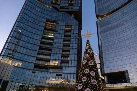 Christmas tree tall buildings in the background, christmas and business concept Stock-Fotos