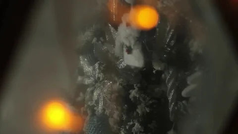 Christmas Tree Through the Window Stock-Footage 71513283