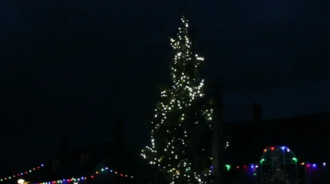 Christmas tree tilt down Stock Footage 33841962