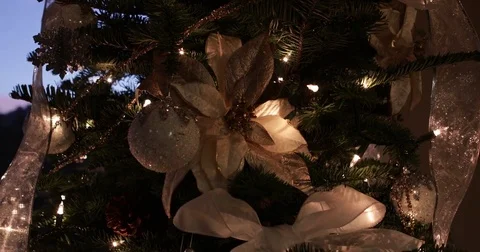 Christmas Tree Tilt Down Slow Stock Footage 83100678