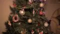 Christmas Tree Tilt HD Footage