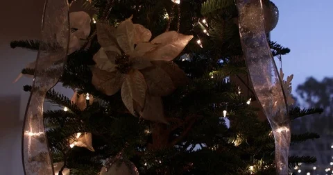 Christmas Tree Tilt Up Stock Footage 83100596