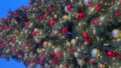 Christmas tree tilting Stock Footage 227458668