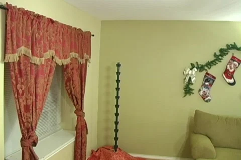 Christmas tree timelapse Stock Footage 293151