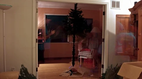 Christmas Tree Timelapse Stock Footage 71255780