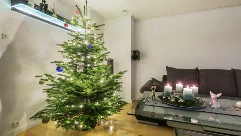 Christmas Tree Timelapse Stock Footage 145737504