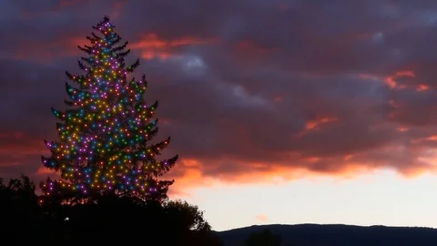 CHRISTMAS TREE TIMELAPSE AT SUNSET Stock Footage 96278818