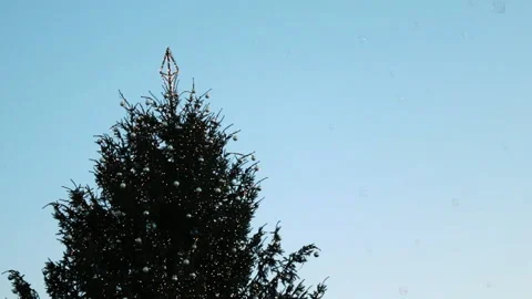 Christmas tree top and bubbles Stock Footage 166627879
