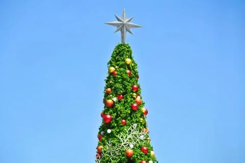 Christmas Tree Top with Star Stock-Fotos