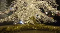 Christmas tree total from chain of lights at Christmas market HD Footage