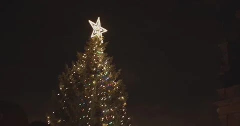 Christmas tree in town centre Stock Footage 131971289