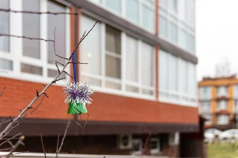 Christmas tree toy on a branch in the yard Stock Photos