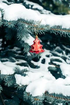 Christmas-tree toy hanging in the branches of fir Stock Photos