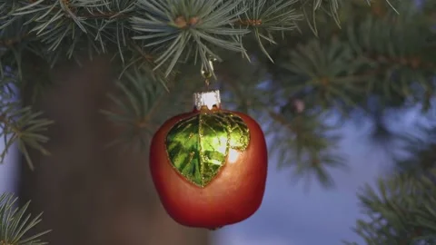 A Christmas tree toy in the shape of a apple decorates a spruce branch. Stock Footage 166560497