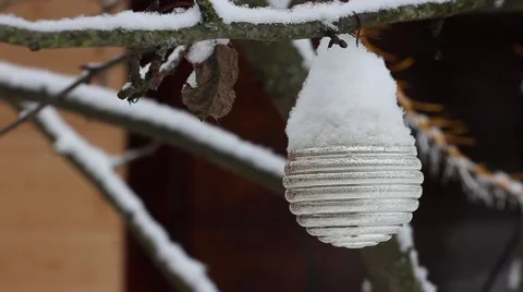 Christmas tree toy with snow  on a tree branch in winter 動画素材 59306103