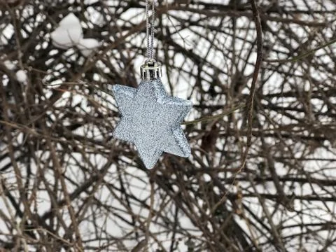 Christmas tree toy star on the tree in the winter garden, close up Stock Photos