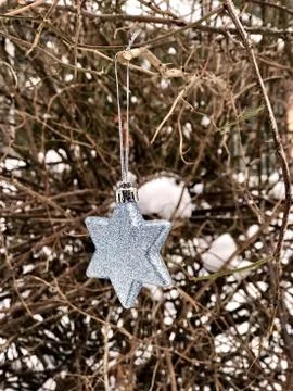Christmas tree toy star on the tree in the winter garden Stock Photos