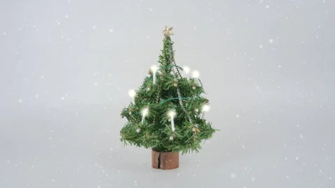 Christmas Tree Twinkling Lights - Stop Motion - Model Christmas Tree Stock Footage 255279002