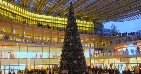 Christmas tree under the canopy in Paris. Beautiful giant decorated pine Stock Footage 120237273