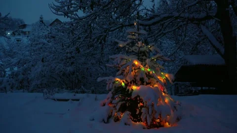 Christmas tree under snow with lights glowing Stock Footage 258785968
