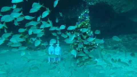 Christmas tree under the water with fish passing by Stock Footage 107282924