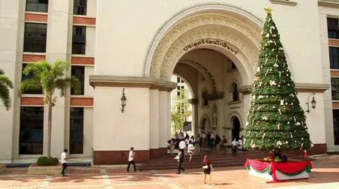 Christmas tree at a University Stock-Footage 10563618