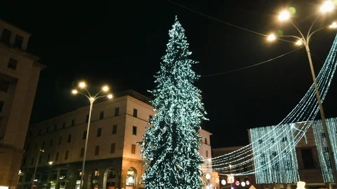 Christmas Tree in Varese Stock Footage 102383390