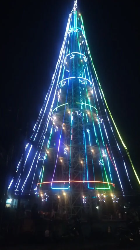 Christmas tree videos Video stock 227565026