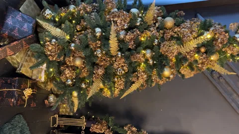 Christmas Tree view from bottom to top in the black interior Stock Footage 225513054