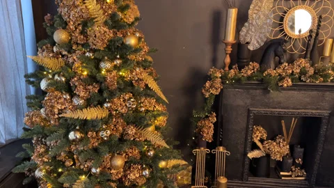 Christmas Tree view from bottom to top in the black interior Stock Footage 225516160