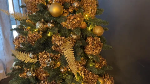Christmas Tree view from bottom to top in the black interior with boxes gifts Stock Footage 225516472