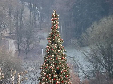 Christmas tree view Stock Photos