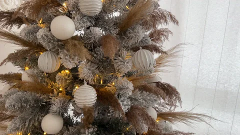 Christmas Tree view from top to bottom Stock Footage 225513247