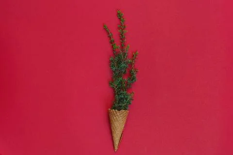 Christmas tree in waffle Stock Photos