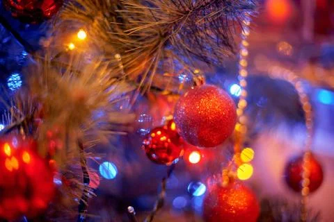 Christmas tree in warm light interior Stock Photos