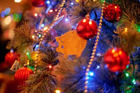 Christmas tree in warm light interior Stock Photos