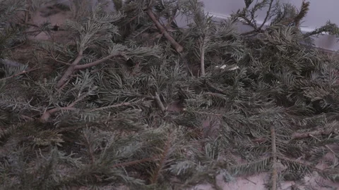 Christmas tree waste on floor, post holiday mess and cleanup Vídeo Stock 332908103
