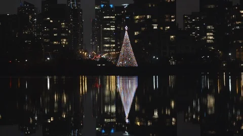 Christmas Tree on water front Vídeos de archivo 121559786