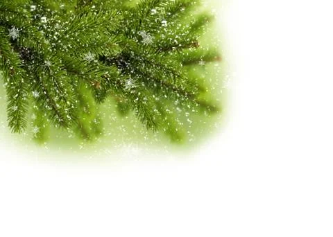 Christmas tree in white background Stock Illustration