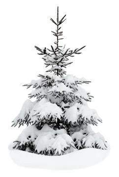 Christmas tree on a white background Stock Photos