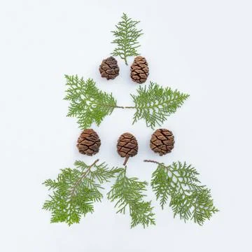Christmas tree on white background Stock Photos